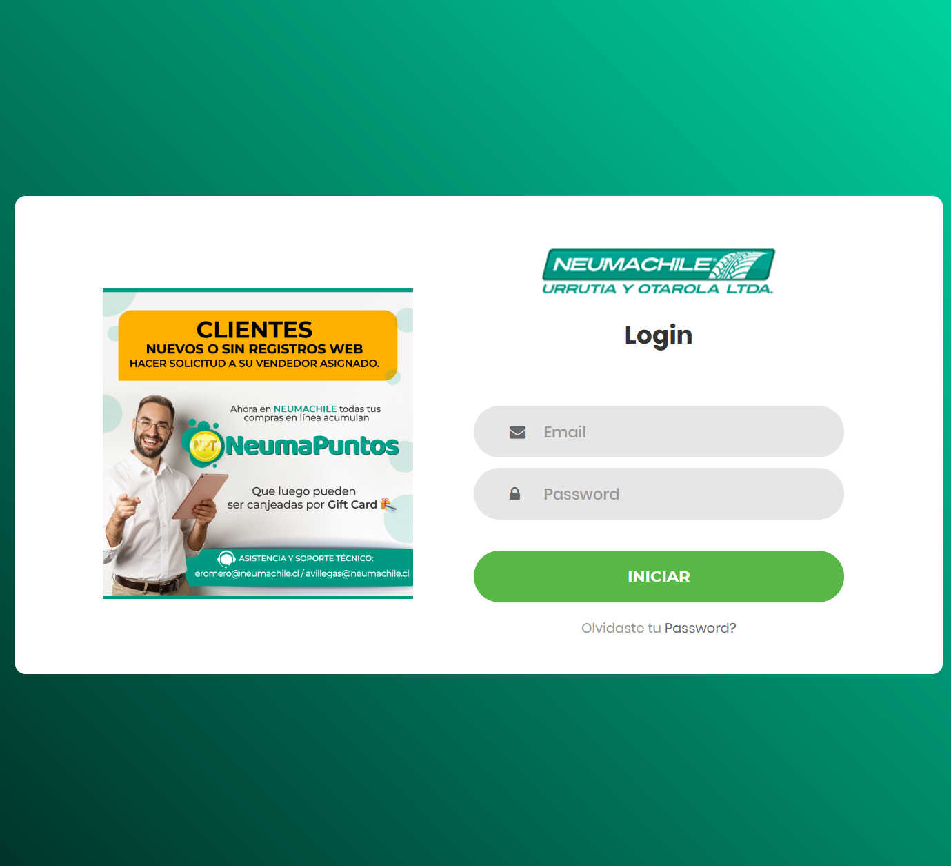 Premium Neumachile captura